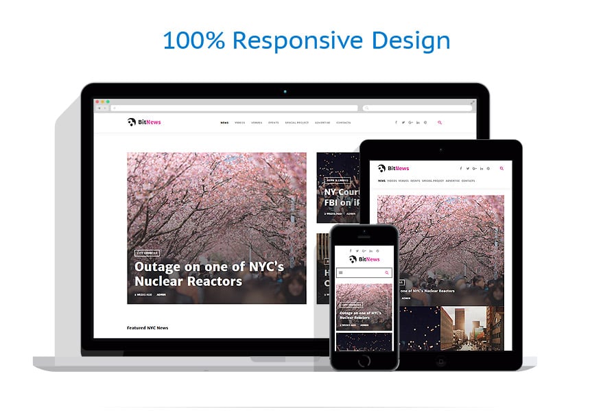 wordpress theme responsive layout filter