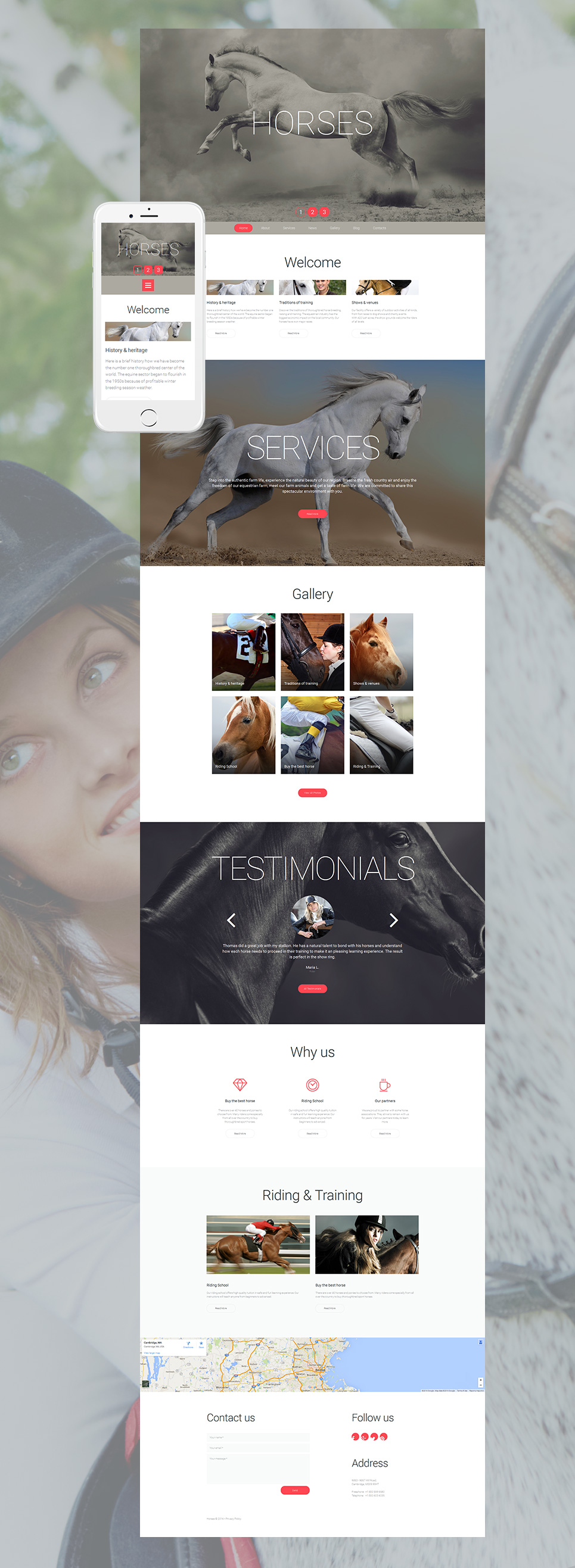 Horse Responsive Moto CMS 3 Template New Screenshots BIG