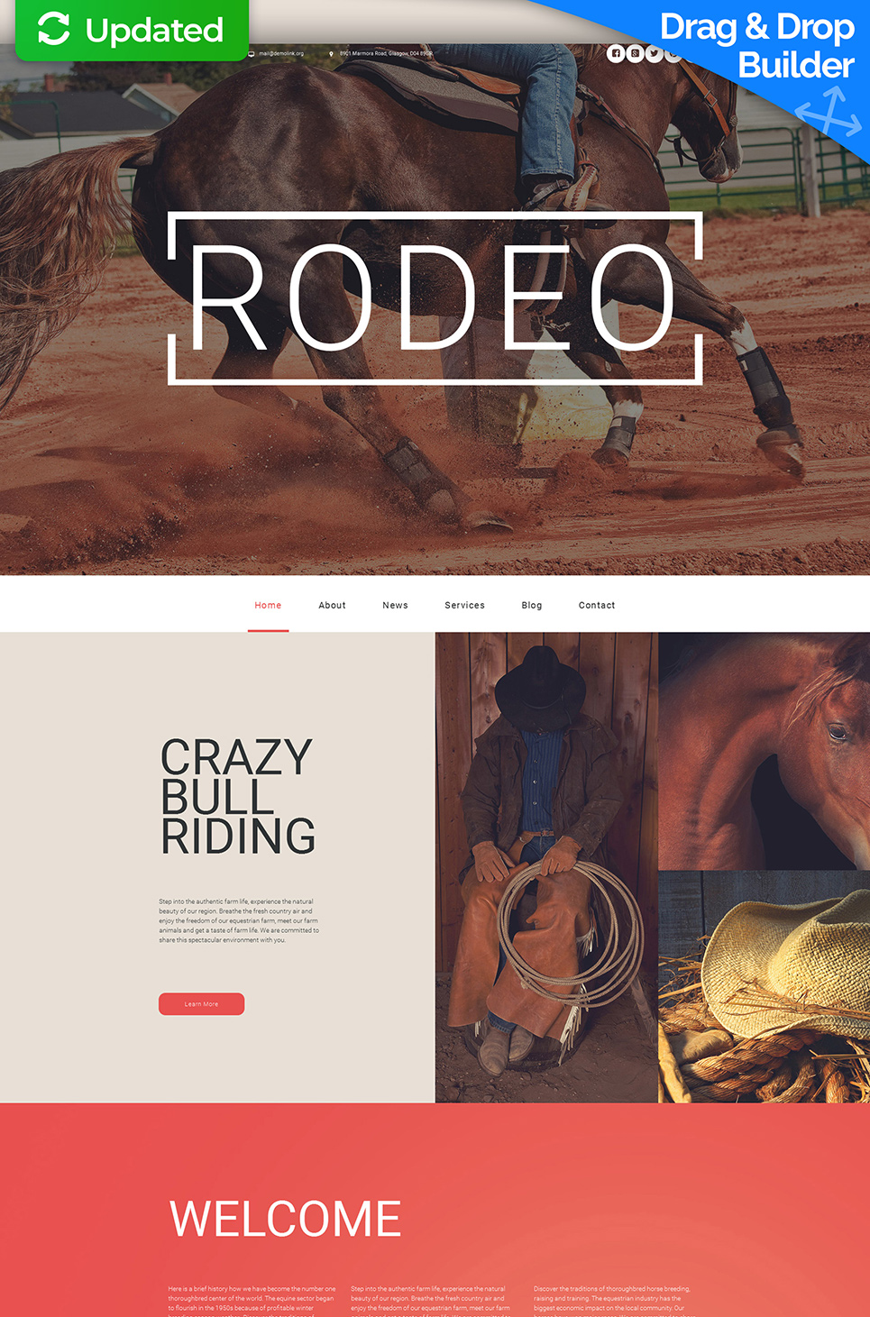 Horse Responsive Moto CMS 3 Template New Screenshots BIG