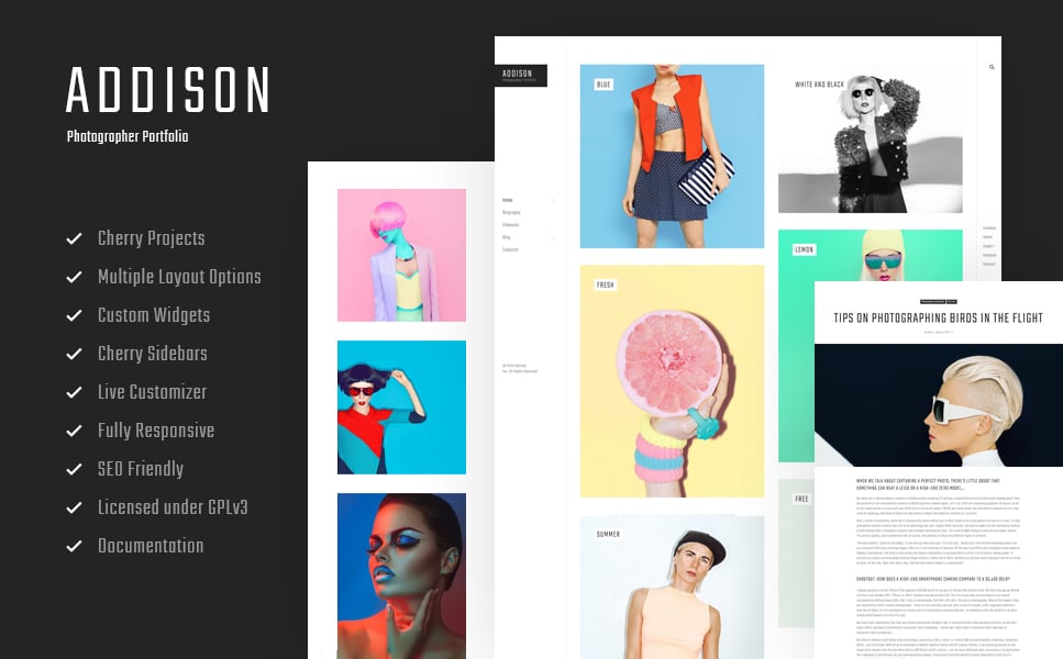 Addison - Creative Photographer Portfolio WordPress Theme