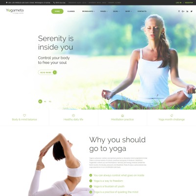 Yogameta Parallax Website Template #58908