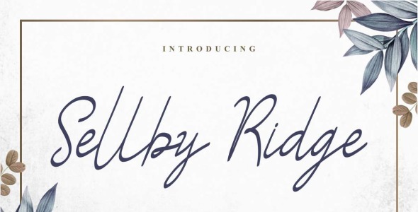 Шрифт на тему графика