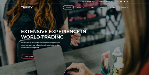 адаптивный шаблон целевой страницы бизнес-компании