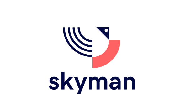 Шаблон логотипа на тему графика