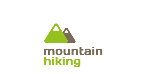 Шаблон логотипа на тему графика