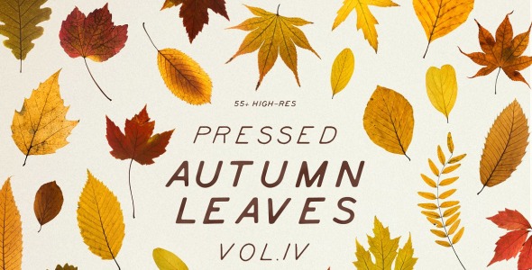 Мокап для продукта на тему графика