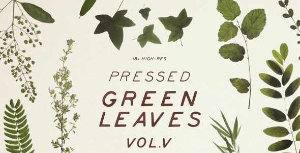 Мокап для продукта на тему графика