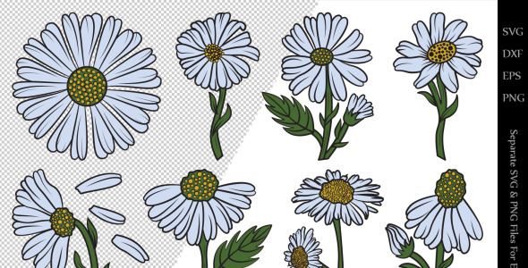 Иллюстрация на тему графика