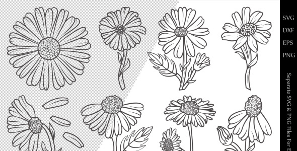 Иллюстрация на тему графика