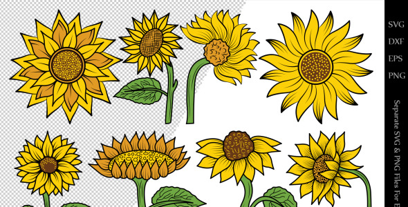 Иллюстрация на тему графика