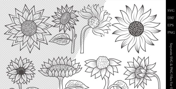 Иллюстрация на тему графика