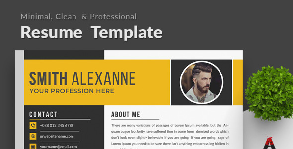 Резюме на тему графика