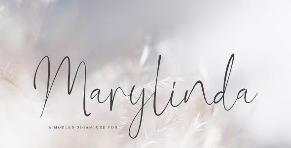 Шрифт на тему графика