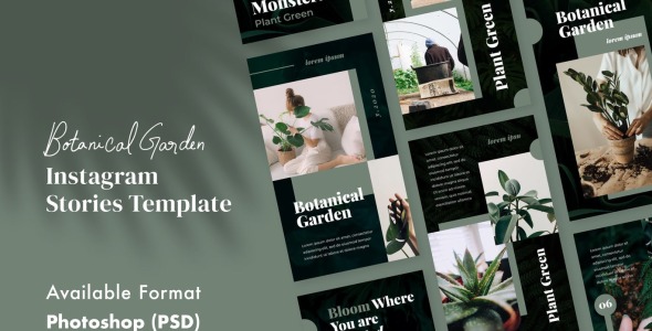 Шаблон для соцсетей на тему графика