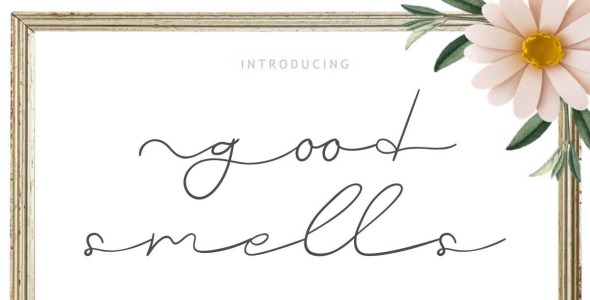 Шрифт на тему графика