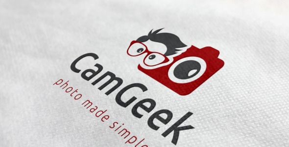 Шаблон логотипа на тему графика