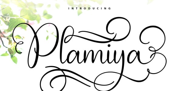 Шрифт на тему графика