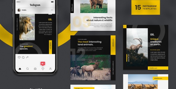 Шаблон для соцсетей на тему графика