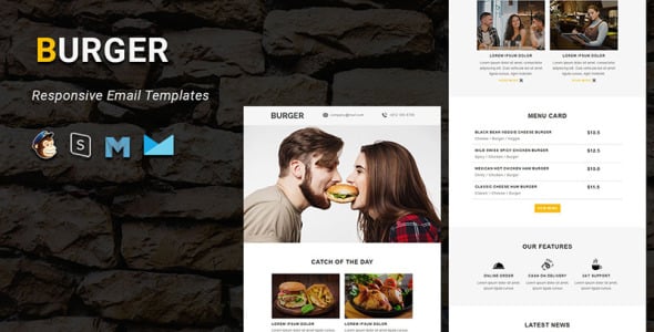 Responsive Email Newsletter Template