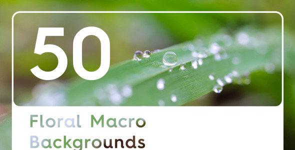 Background на тему графика