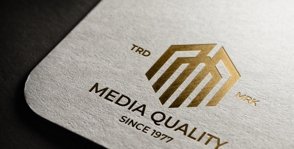 Шаблон логотипа на тему графика