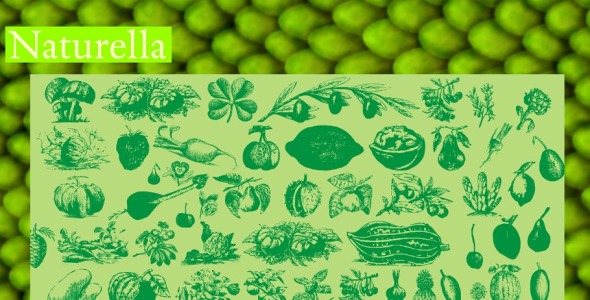 Шрифт на тему графика