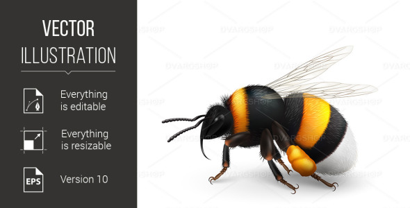 Vector на тему графика