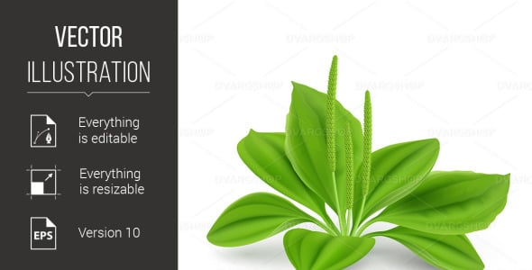 Vector на тему графика