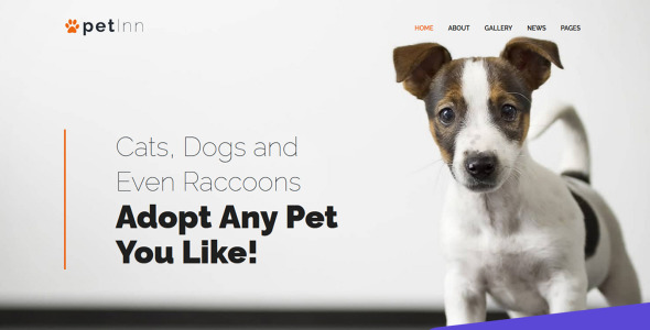 Animal Shelter Moto CMS 3 Template