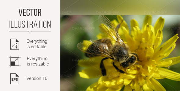 Vector на тему графика