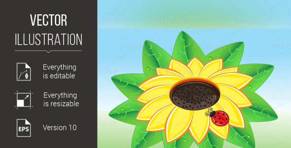 Vector на тему графика