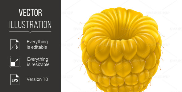 Vector на тему графика