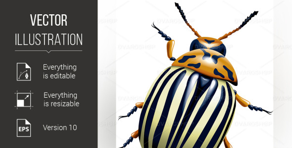 Vector на тему графика