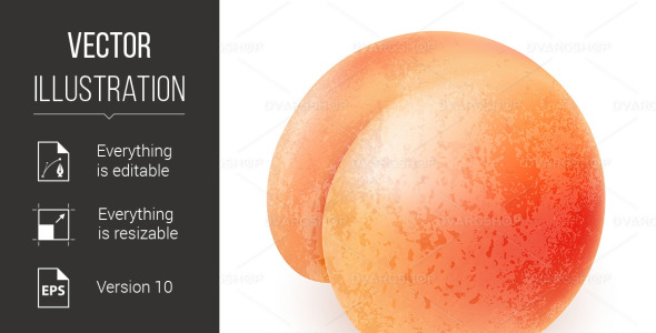 Vector на тему графика