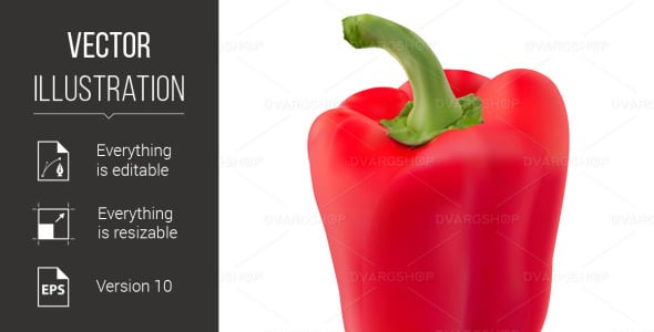 Vector на тему графика