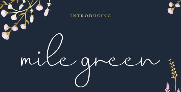 Шрифт на тему графика