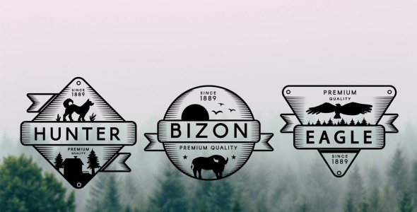 Фирменный стиль на тему графика