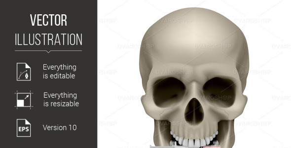 Vector на тему графика