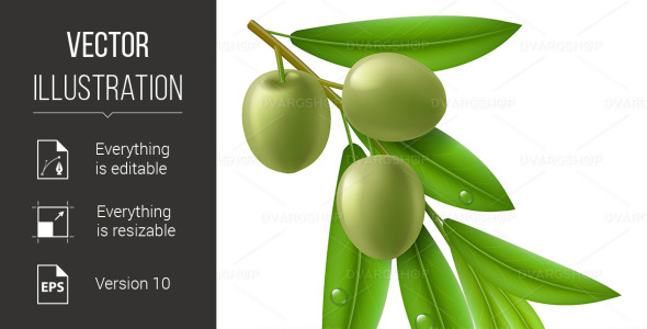 Vector на тему графика