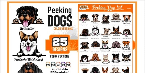 Иллюстрация на тему графика