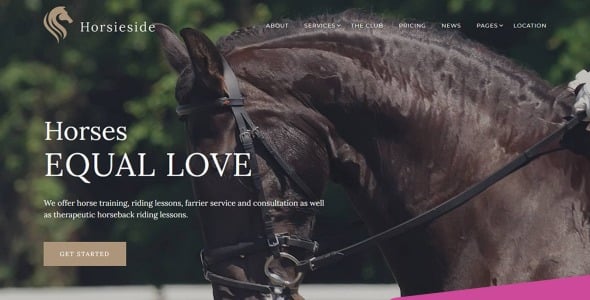 конноспортивный центр moto cms 3 шаблон