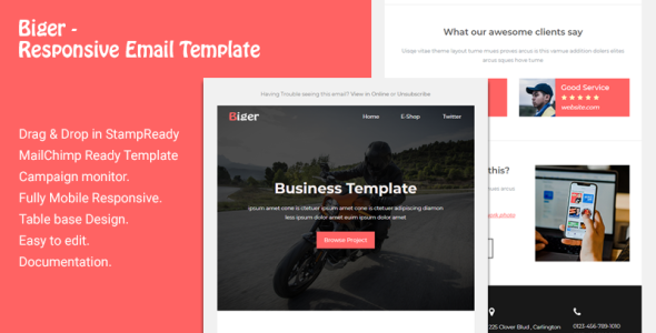 Responsive Email Newsletter Template