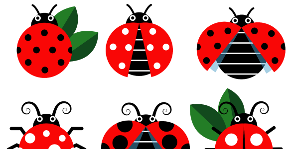 Vector на тему графика