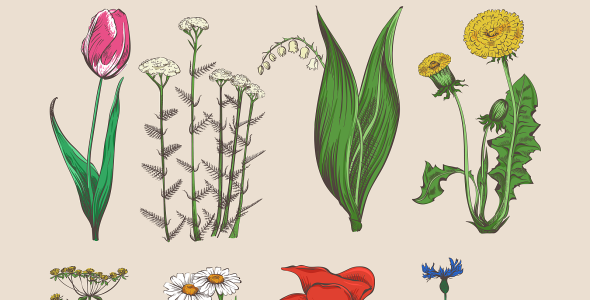 Vector на тему графика