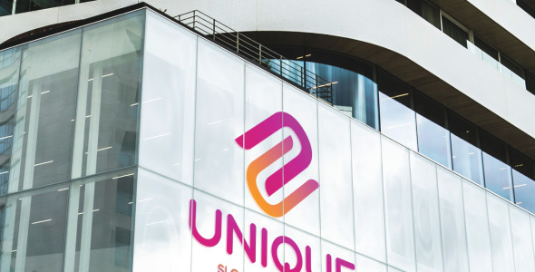 Шаблон логотипа на тему графика