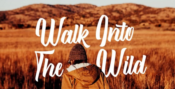 Шрифт на тему графика