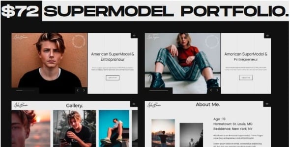 Model Portfolio Multipurpose HTML By WINK Website Template