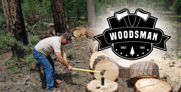 Шаблон логотипа на тему графика