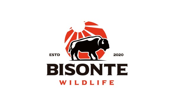 Шаблон логотипа на тему графика