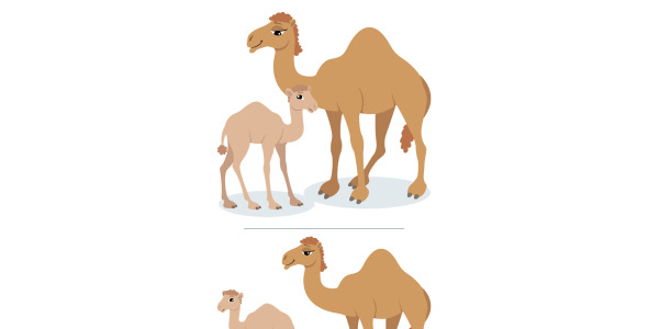 Иллюстрация на тему графика